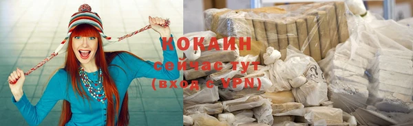 спиды Магас