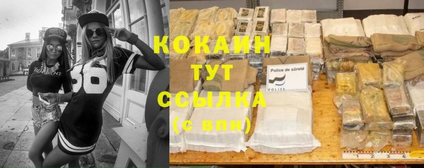 спиды Магас