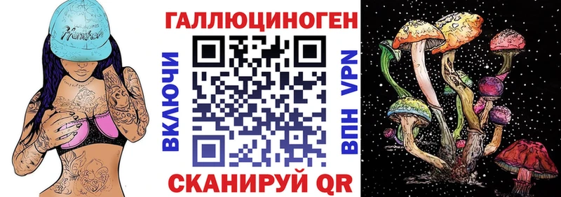где продают наркотики Ладушкин Галлюциногенные грибы GOLDEN TEACHER